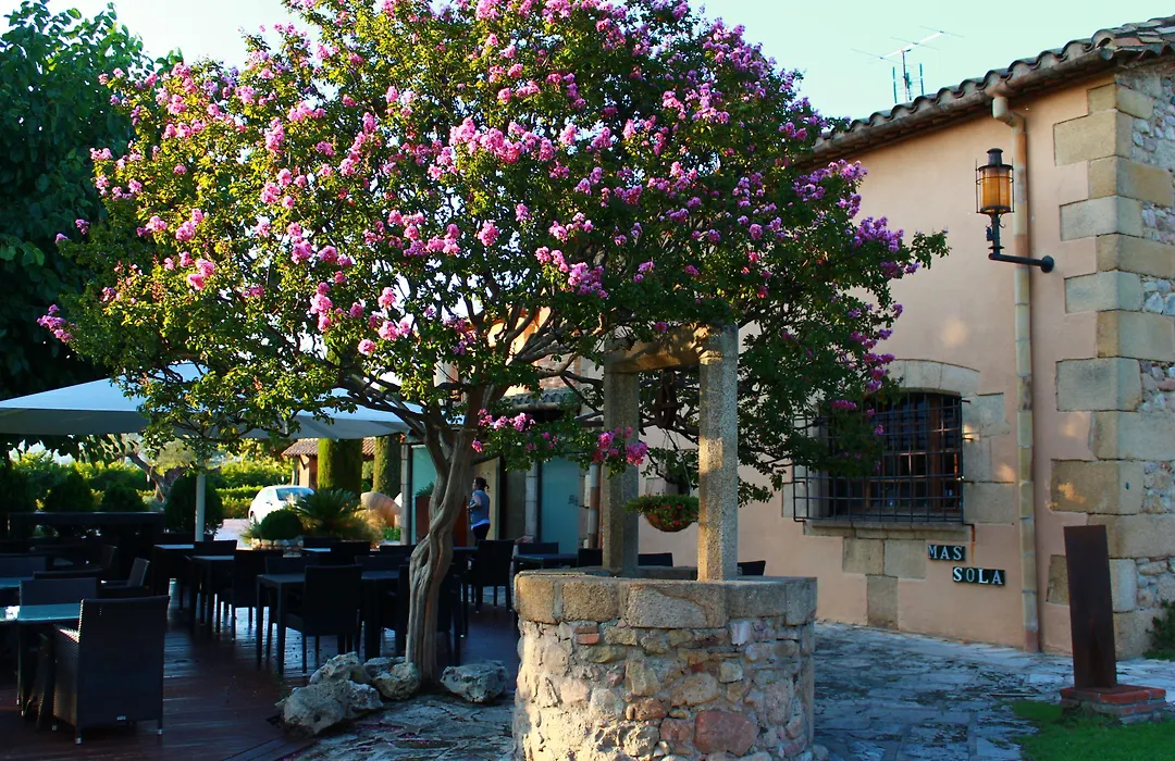 Hotel Mas Sola-1